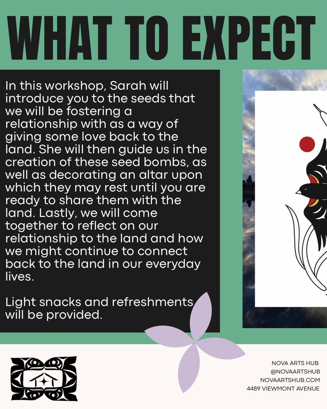Workshop with Sarah Jim: Giving Love to the Land: A seed bomb making workshop